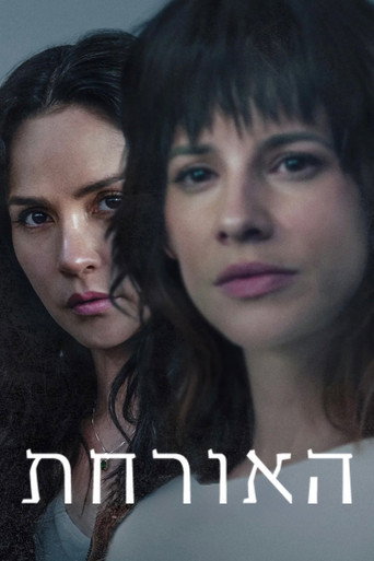 האורחת