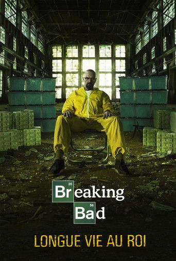 Breaking Bad : Le chimiste