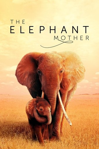 La mère éléphant
