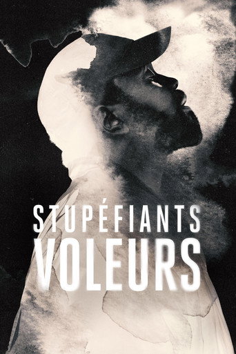 Stupéfiants voleurs