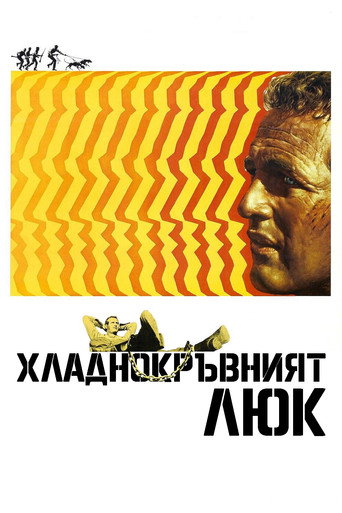 Хладнокръвният Люк