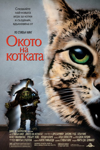 Окото на котката