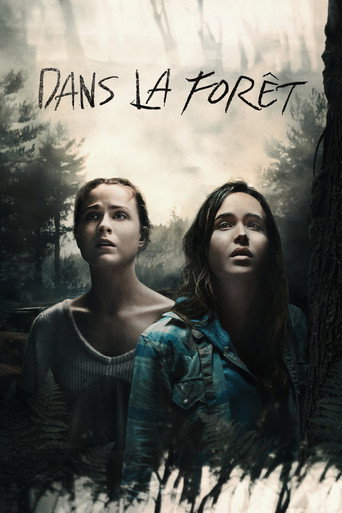 Dans la forêt
