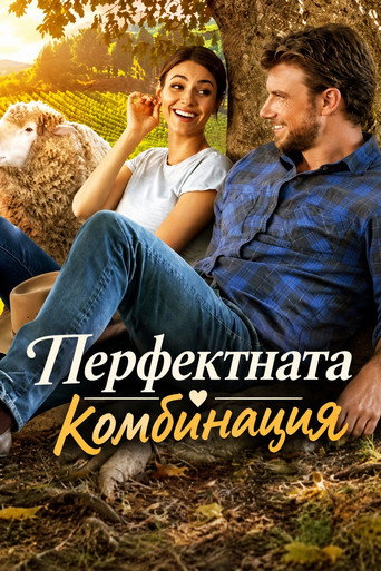 Перфектната комбинация