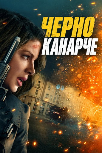 Черно канарче