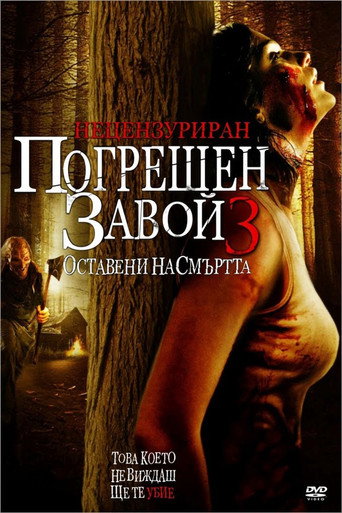 Погрешен завой 3