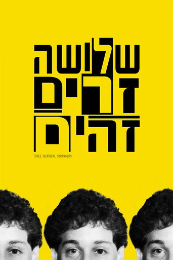 שלושה זרים זהים