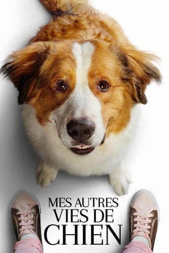 Mes voyages de chien
