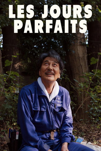 Les jours parfaits