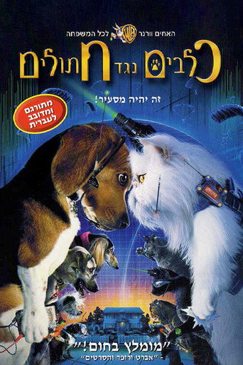 כלבים נגד חתולים