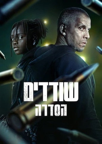‏שודדים: הסדרה